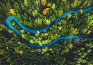 Aerial shot winding road through forest